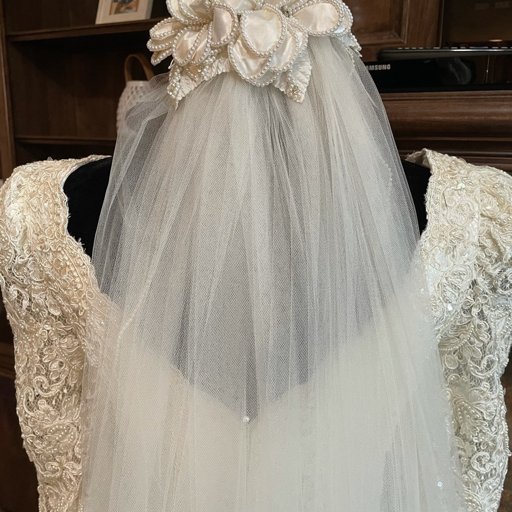 Veil - Picture 2 of 3